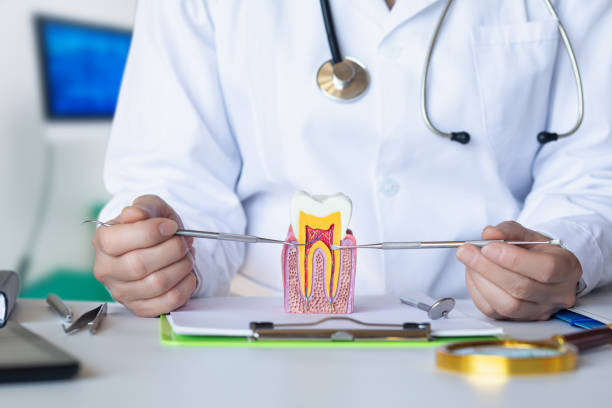 Best Emergency Cosmetic Dentistry in Beechwood, MS
